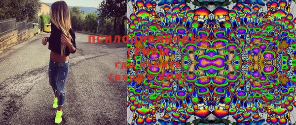 прущие крисы Медвежьегорск