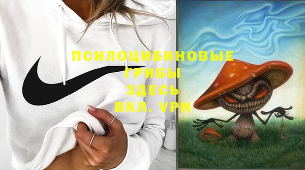 сатива Всеволожск