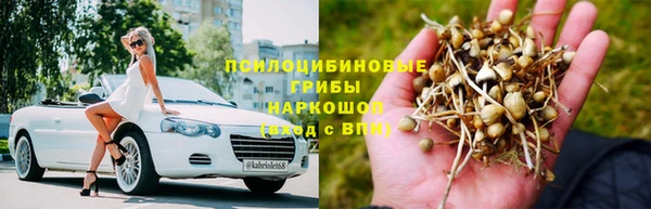 трава Медногорск